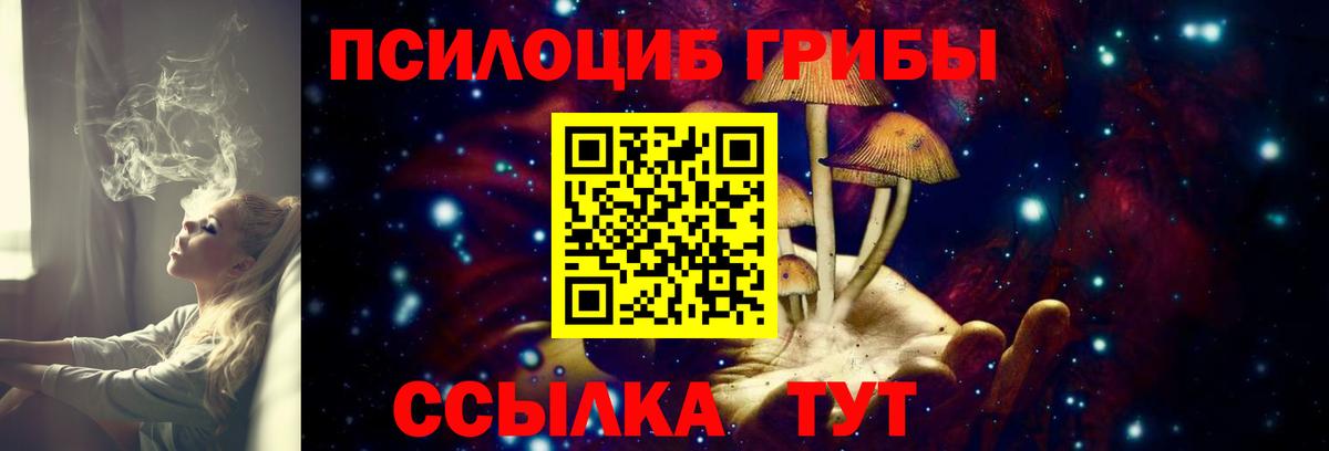 Галлюциногенные грибы прущие грибы Тавда