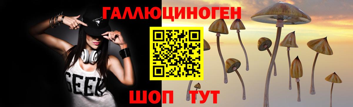 купить   Галлюциногенные грибы Magic Shrooms  Вход с VPN  Тавда 